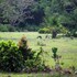 banten
