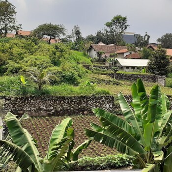 nabila syari guesthouse