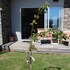 the mackenzie suites
