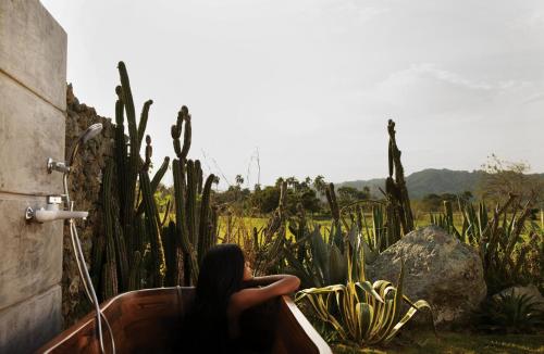 greenland bubble glamping