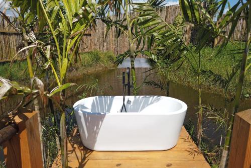 greenland bubble glamping