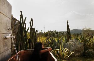 greenland bubble glamping