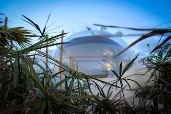 greenland bubble glamping