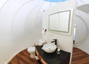 greenland bubble glamping