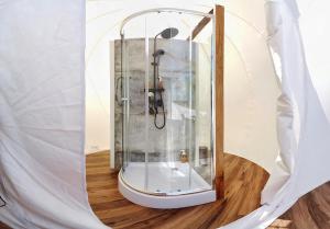 greenland bubble glamping