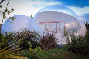 greenland bubble glamping