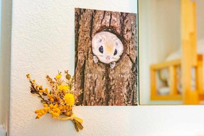 plat hostel keikyu sapporo sky