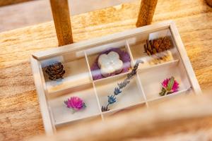 plat hostel keikyu sapporo sky