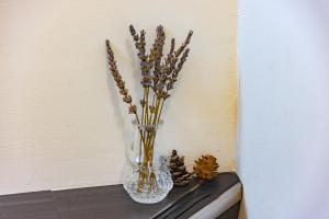 plat hostel keikyu sapporo sky