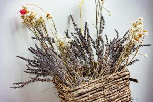 plat hostel keikyu sapporo sky