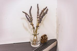 plat hostel keikyu sapporo sky