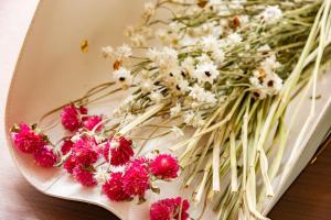 plat hostel keikyu sapporo sky