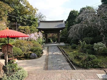 purpose resort ocean view kamakura
