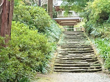 purpose resort ocean view kamakura
