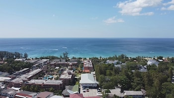 palmetto condominium