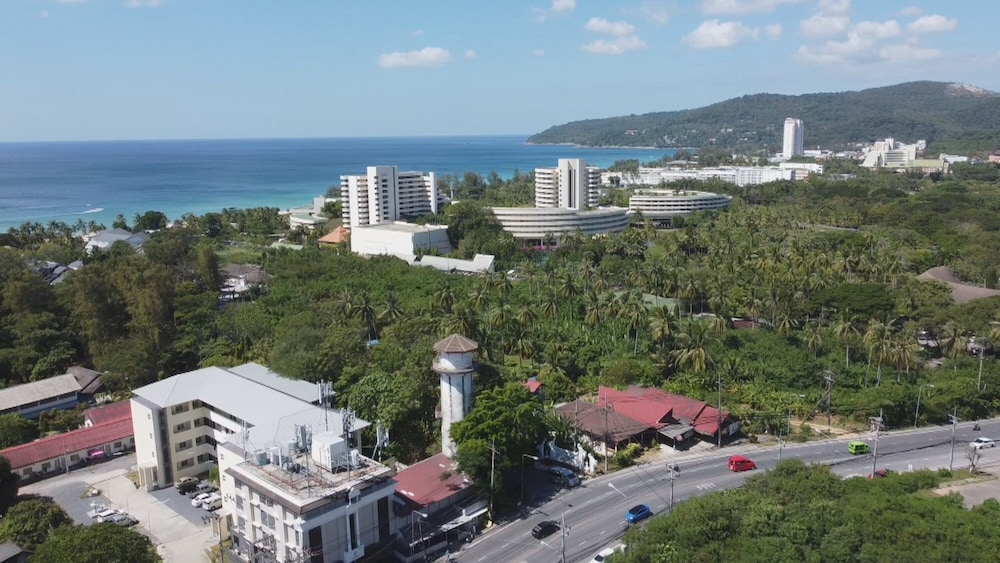 palmetto condominium