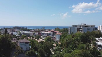 palmetto condominium