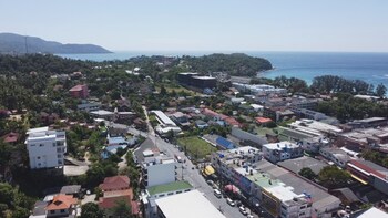 palmetto condominium