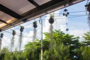 nandn house laem hin