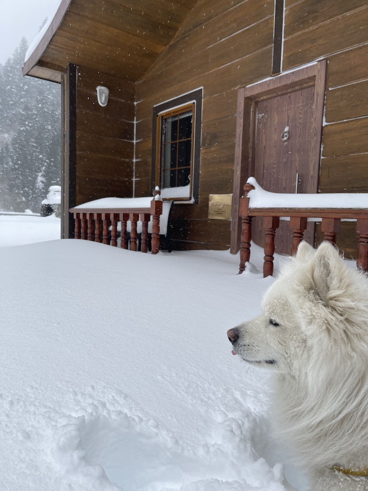 yesil irmak bungalow