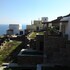 andros