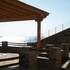 andros