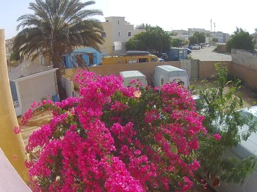 le triskell auberge hostel