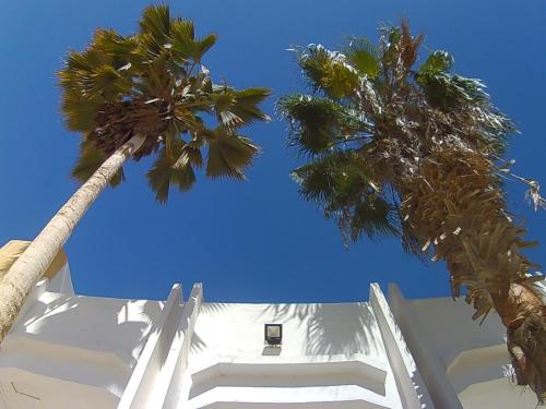 le triskell auberge hostel