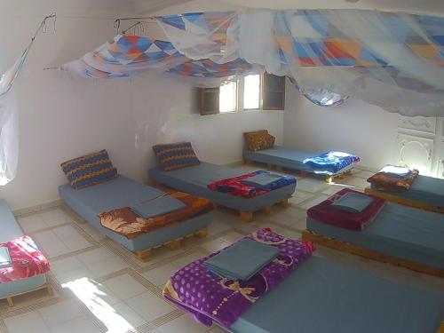 le triskell auberge hostel