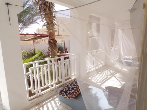 le triskell auberge hostel