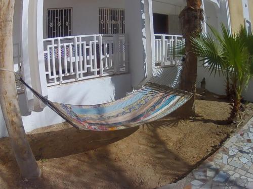 le triskell auberge hostel