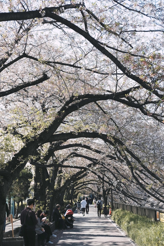 zaito tokyo waseda economy inn