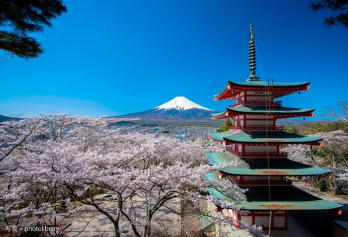 fuji sakura house