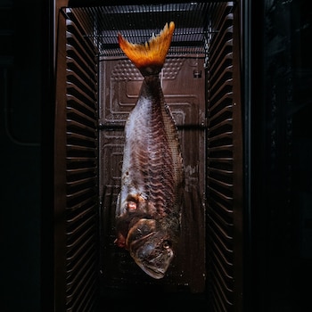 ta tereza in manwel dimech