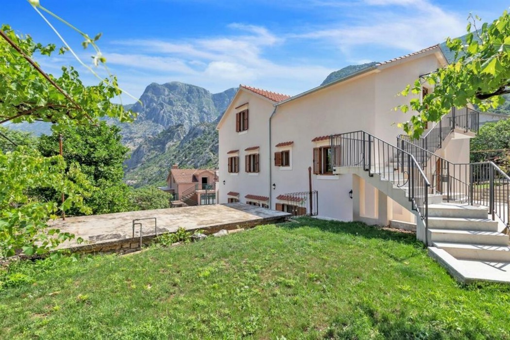 kotor
