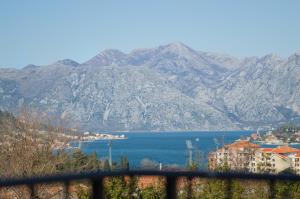 kotor