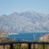 kotor