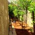 shurooq shams hotel and tours by sunrise