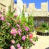 shurooq shams hotel and tours by sunrise