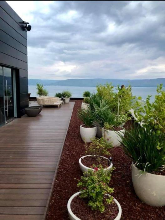 sofia hotel sea of galilee