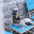 herceg novi