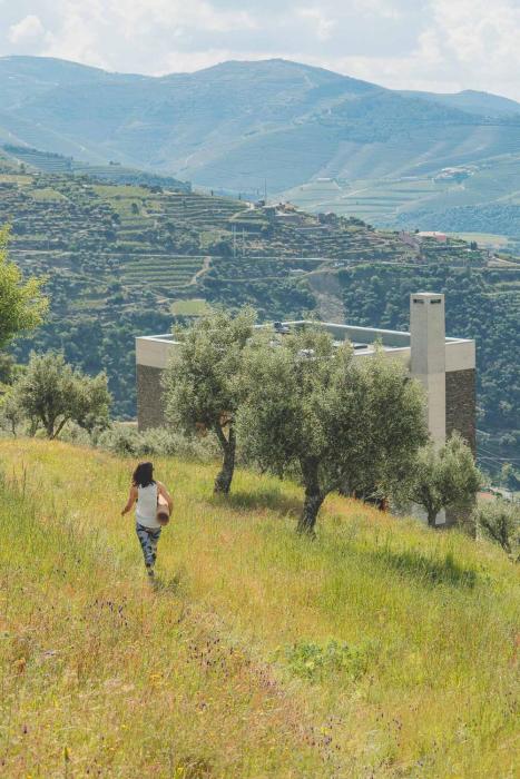 casa do arco by douro exclusive