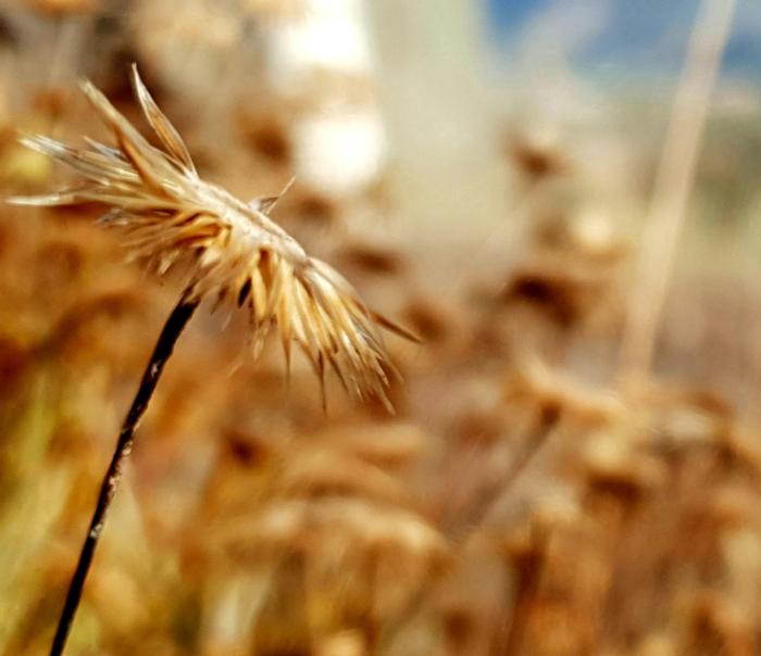 casa do arco by douro exclusive