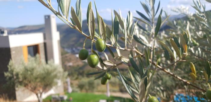 casa do arco by douro exclusive