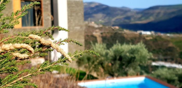 casa do arco by douro exclusive