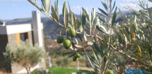 casa do arco by douro exclusive