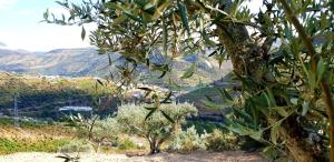 casa do arco by douro exclusive