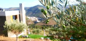 casa do arco by douro exclusive