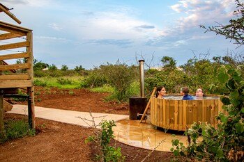 Africamps At White Elephant Safaris,,3.5 star