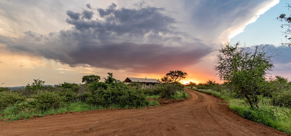 africamps at white elephant safaris